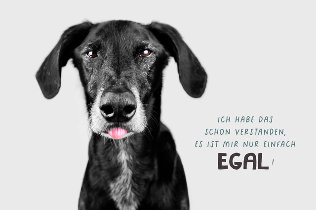 Luke ist es egal! | "Ich habe das schon verstanden. Es ist mir nur einfach egal!"