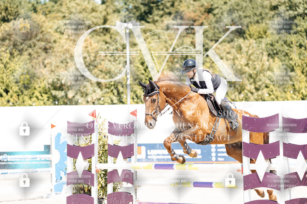 CK900432 | Turnierfotografie Pferdefotografie Trier Rheinland-Pfalz Pferdesport Reitsport Tierfotografie Sportfotografie Pferdevideo Pferdevideografie Equestrianvideography equestrianphotography  - Realisiert mit Pictrs.com
