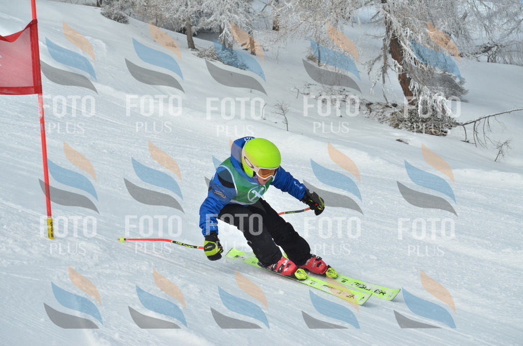 D8708 | holidayphoto