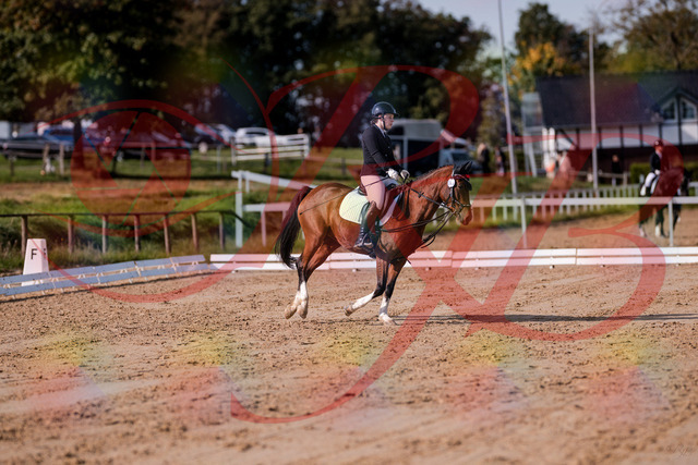 2026_10_03_Siefer-Hof_115617_Z81_96711813 | Professionelle Reitsport-, Turnier- und Eventfotografie von Robert Broda. Galerien mit ausgewählten und bearbeiteten Bildern direkt online ansehen und bestellen.