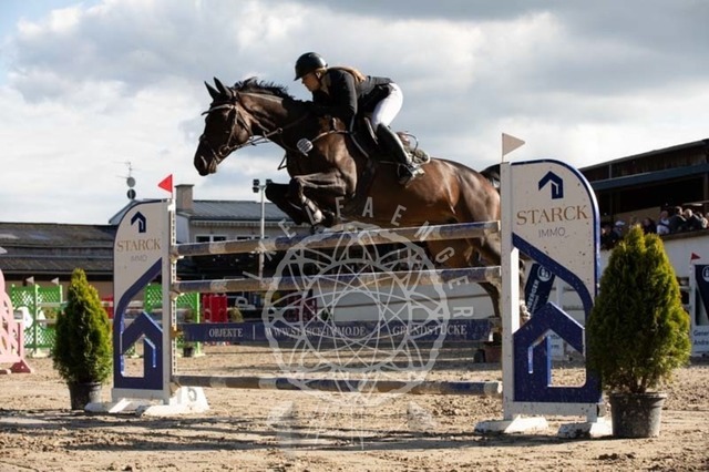 2B4A3756 | pixelfaenger - Realisiert mit Pictrs.com