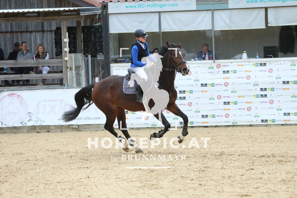 DL2Q7168 | Willkommen bei Brunnmayr - Design & Fotografie – Ihrem Spezialisten für Reitturniere und Pferdeveranstaltungen in Oberösterreich, Salzburg und Bayern! Seit über 17 Jahren sind wir leidenschaftlich dabei.