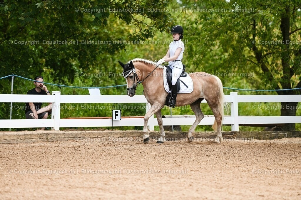 20230715_05_Dressurprüfung Kl.A++_0096 | equistock