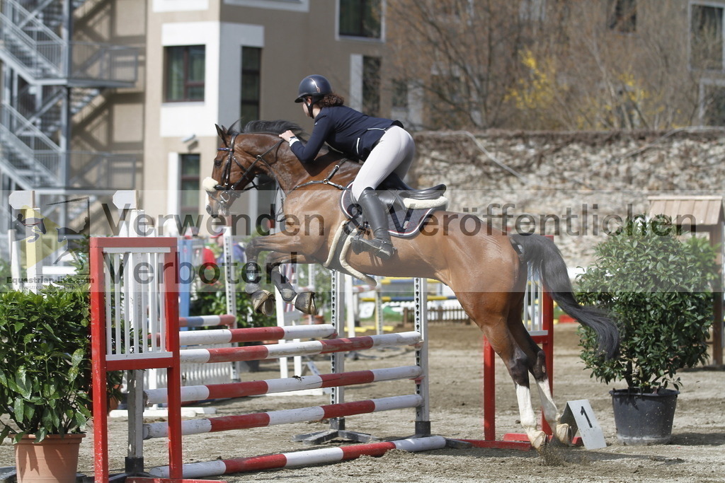 _MG_7294 | equestrian-live-com