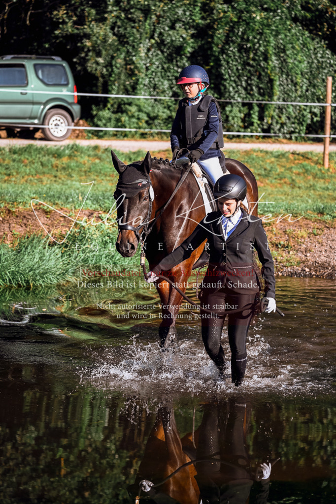 DSC_0253 | Pferde- und Turnierfotografie in Westsachsen. Pferdeportraits, Auftragszeichnungen und intuitive Kunst.