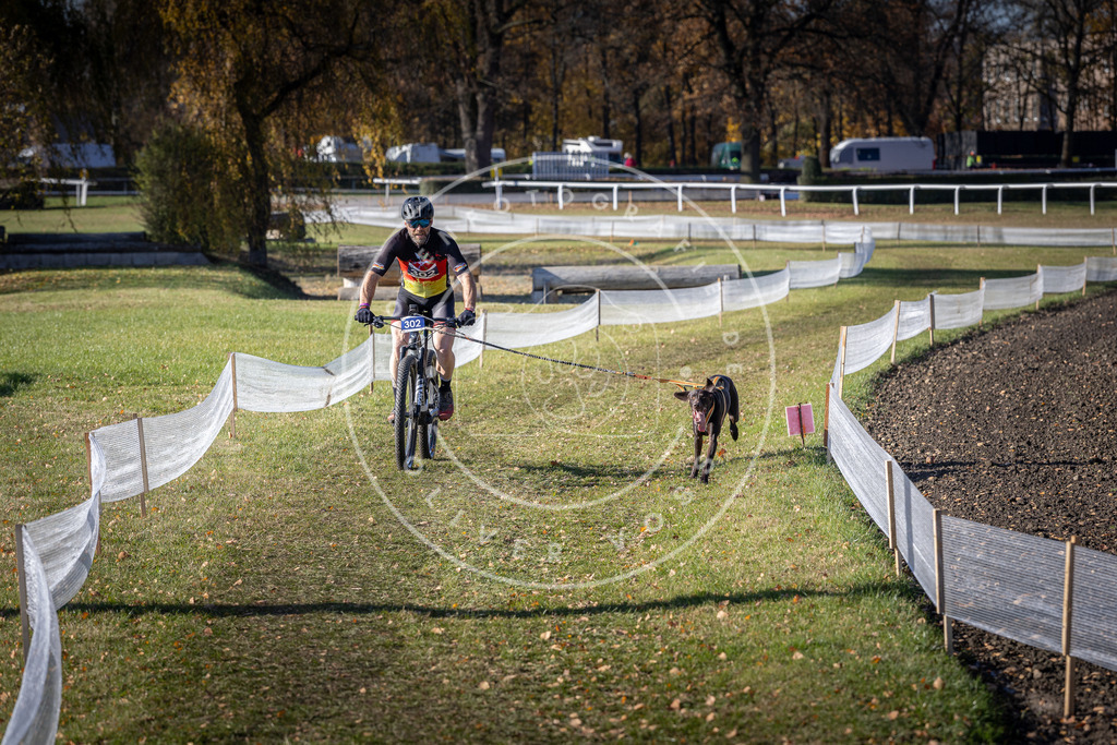 CaniXpix_DV3A6096 | Hundefotografie, Tierfotograf, Pfotenfotografie, Fotoshooting Hund, Hunde Portrait, Hundesport, Hundeportraits, Heideshooting, Hunde, Sportfotograf, Hundefotograf, Turnierhundsport, THS,  - Realisiert mit Pictrs.com