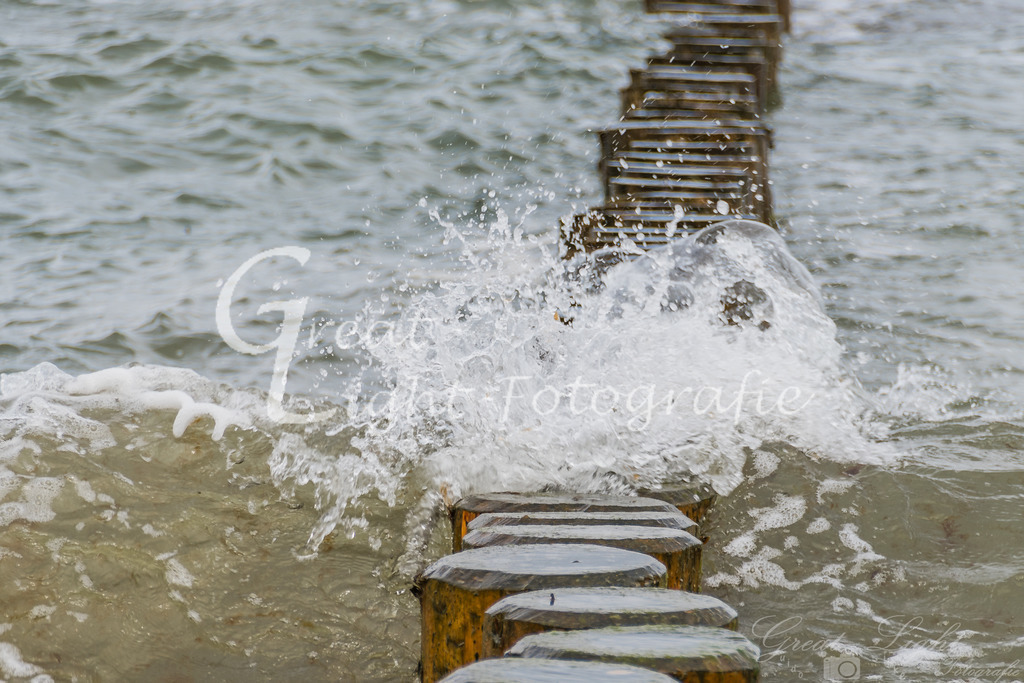 DSC_1888 | Great-Light Fotografie - Realisiert mit Pictrs.com