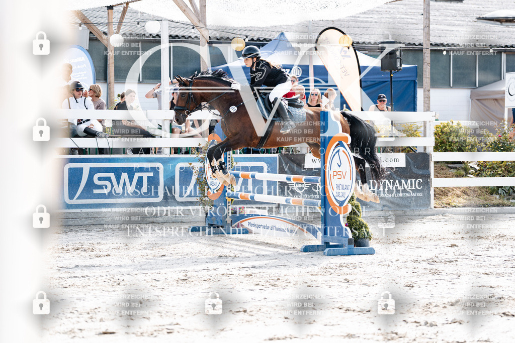 CK905650 | Turnierfotografie Pferdefotografie Trier Rheinland-Pfalz Pferdesport Reitsport Tierfotografie Sportfotografie Pferdevideo Pferdevideografie Equestrianvideography equestrianphotography  - Realisiert mit Pictrs.com