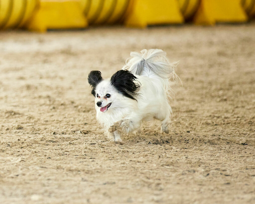 580B0108 | Peter Fridle Fotografie - Realisiert mit Pictrs.com