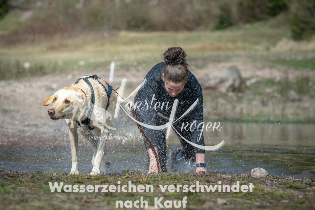 1103_ZZ92848 | kk-dogfotos