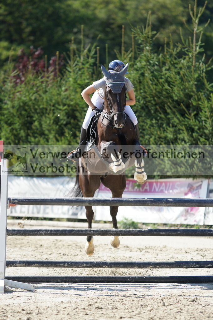 DSC01674 | equestrian-live-com