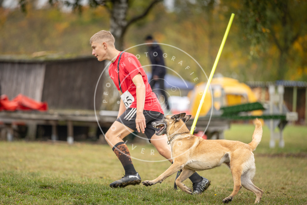 Pfotenfotografie_DV3A5054 | Hundefotografie, Tierfotograf, Pfotenfotografie, Fotoshooting Hund, Hunde Portrait, Hundesport, Hundeportraits, Heideshooting, Hunde, Sportfotograf, Hundefotograf, Turnierhundsport, THS,  - Realisiert mit Pictrs.com