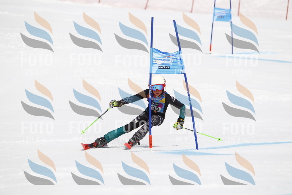 _U3G5053 | holidayphoto