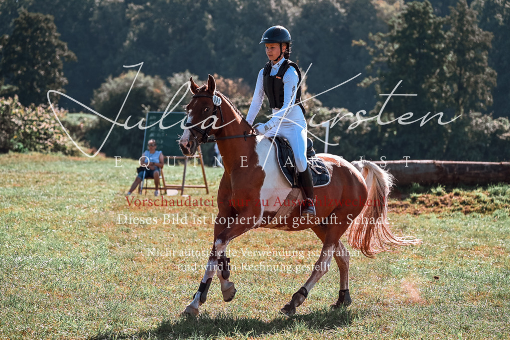 DSC_1022 | Pferde- und Turnierfotografie in Westsachsen. Pferdeportraits, Auftragszeichnungen und intuitive Kunst.