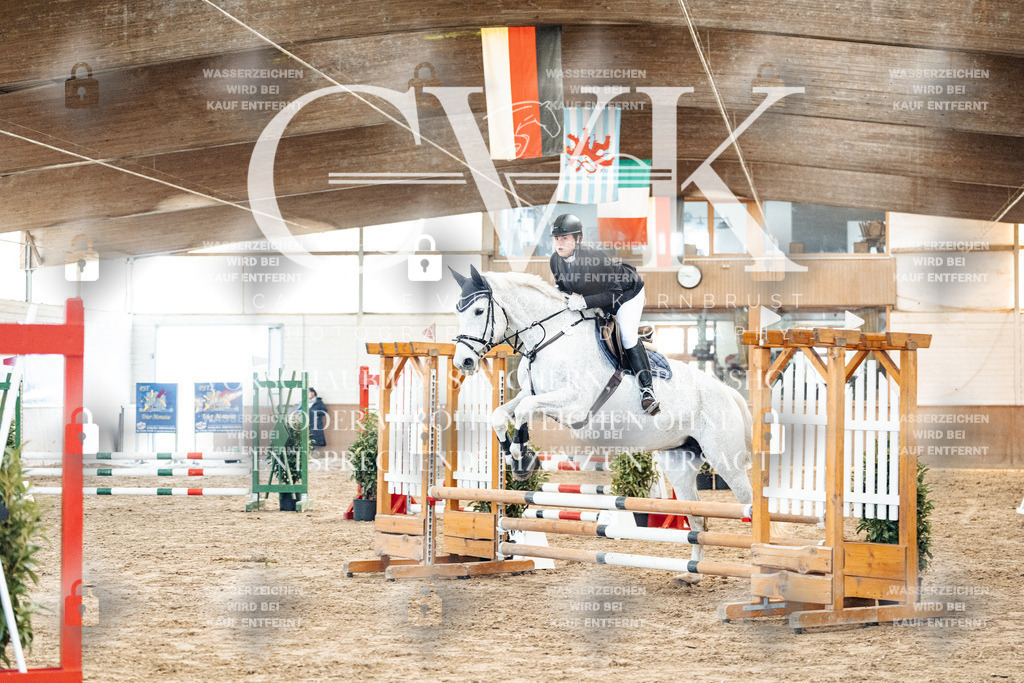 CK903943 | Turnierfotografie Pferdefotografie Trier Rheinland-Pfalz Pferdesport Reitsport Tierfotografie Sportfotografie Pferdevideo Pferdevideografie Equestrianvideography equestrianphotography  - Realized with Pictrs.com
