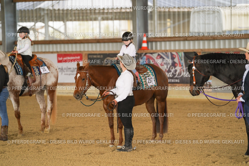 DSC00909 | Pferdegrafie