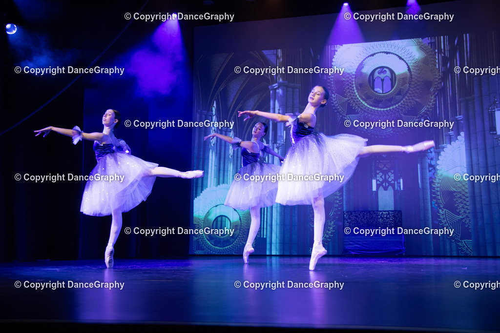 GPHY2683 | DanceGraphy - Realisiert mit Pictrs.com