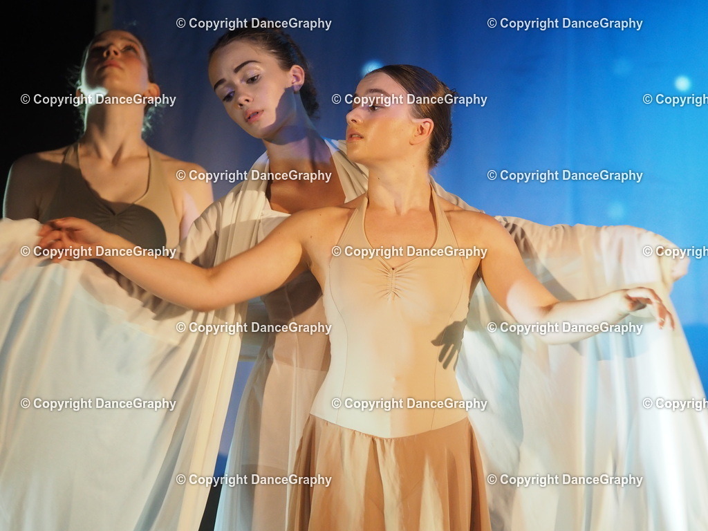 P6280076 | DanceGraphy - Realisiert mit Pictrs.com