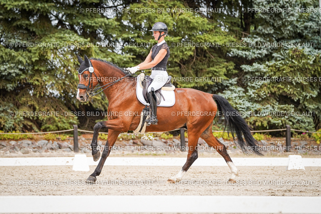 DSC05965 | Pferdegrafie