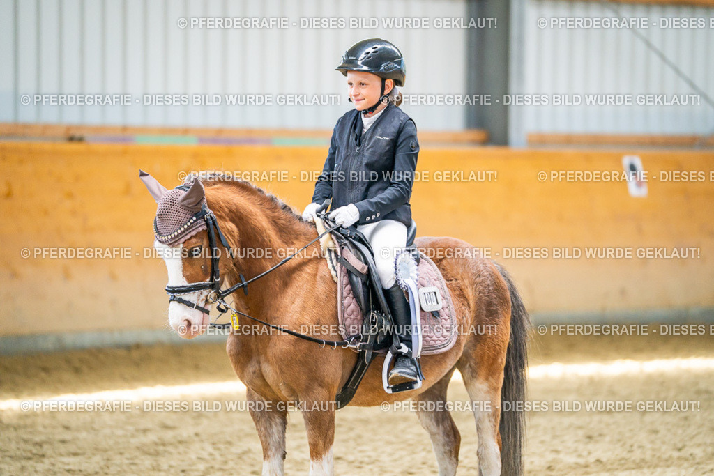 DSC03085 | Pferdegrafie