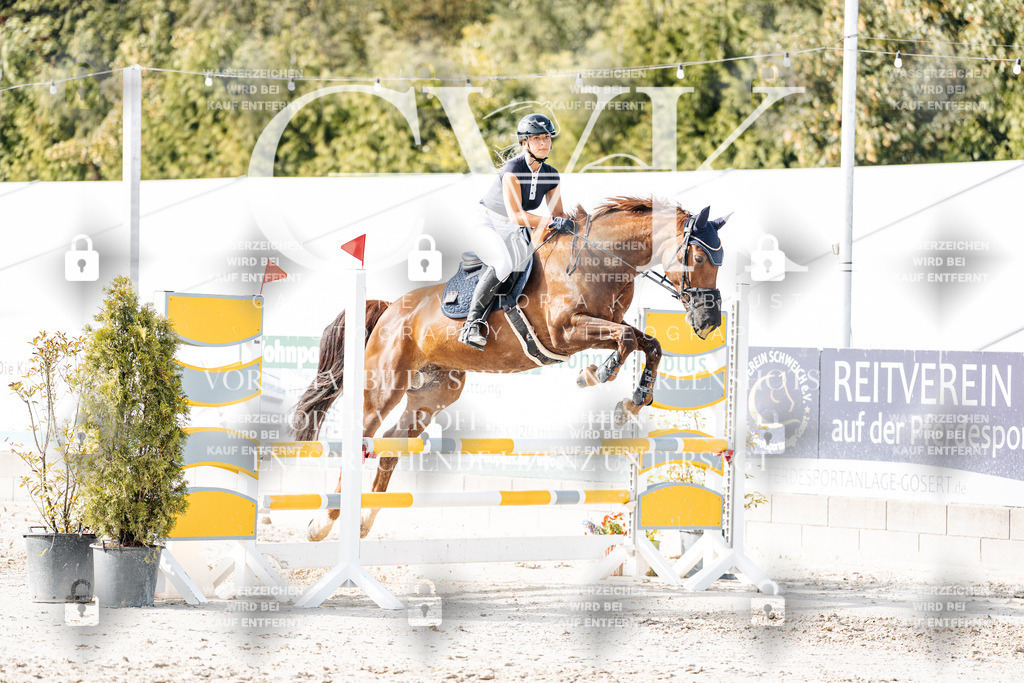 CK906057 | Turnierfotografie Pferdefotografie Trier Rheinland-Pfalz Pferdesport Reitsport Tierfotografie Sportfotografie Pferdevideo Pferdevideografie Equestrianvideography equestrianphotography  - Realisiert mit Pictrs.com