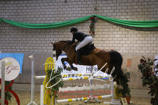 IMG_0781 | Deine Turnierfotos vom Reitturnier online kaufen: Dressur, Springen & Siegerehrung. Professionelle Pferdefotografie aus dem Rheinland – als Download & Print.Alternative: Turnierfotograf für den Pferdesport: Finde deine Fotos von Dressur- und Springturnier