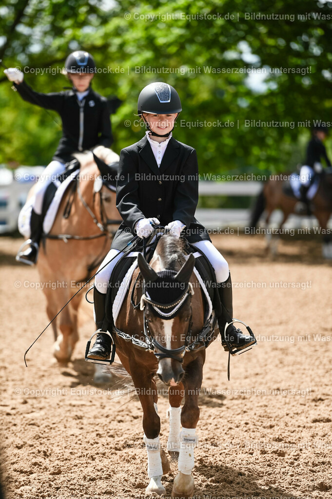 20230716_10-3_Reiter-WB Schritt - Trab - Galopp_0022 | equistock