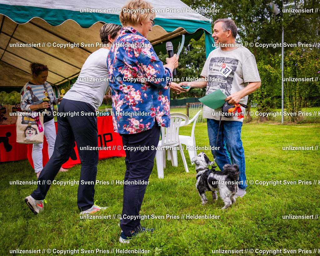 Sven Pries | 2024-09-22 - Hunderennen Baden-BadenPudelverein - Realisiert mit Pictrs.com