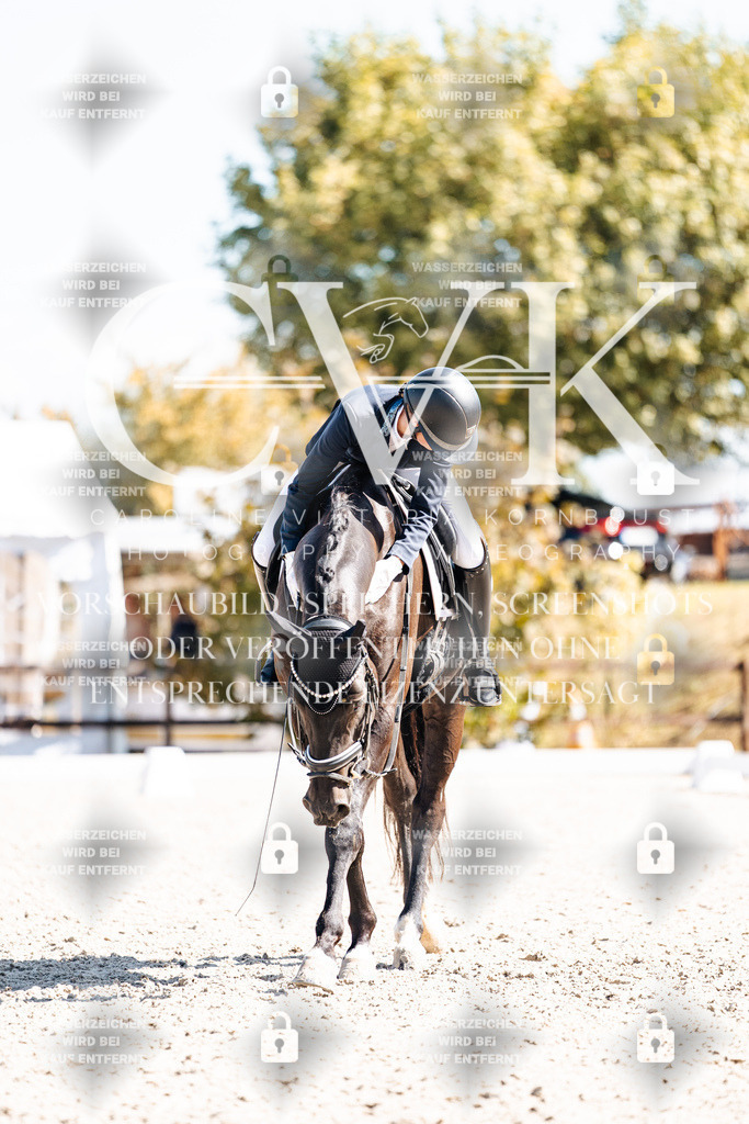 CK903495 | Turnierfotografie Pferdefotografie Trier Rheinland-Pfalz Pferdesport Reitsport Tierfotografie Sportfotografie Pferdevideo Pferdevideografie Equestrianvideography equestrianphotography  - Realisiert mit Pictrs.com