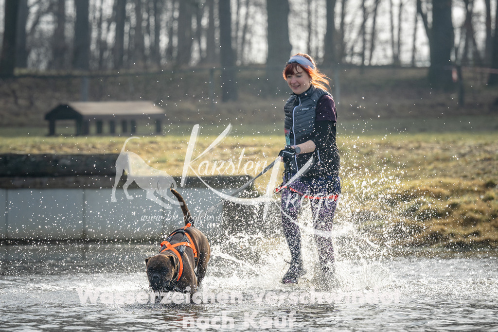 0947_ZZ93634 | kk-dogfotos