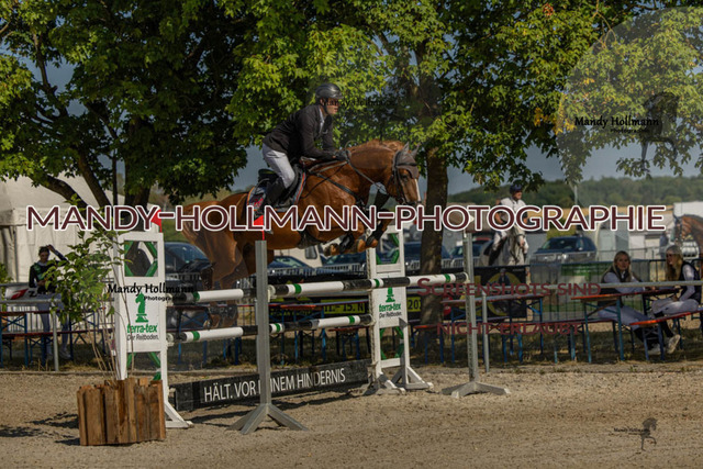 26-7-24 SPF M+-52 | mandyhollmannphotographie