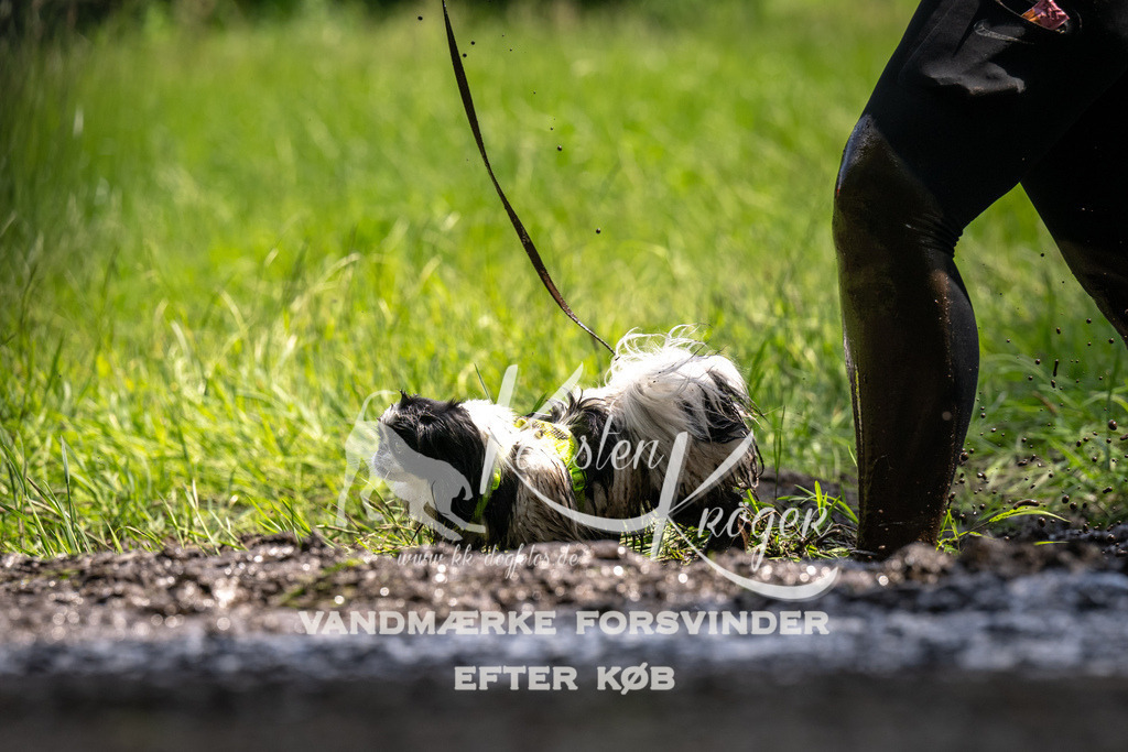 1206_ZZ91371 | kk-dogfotos