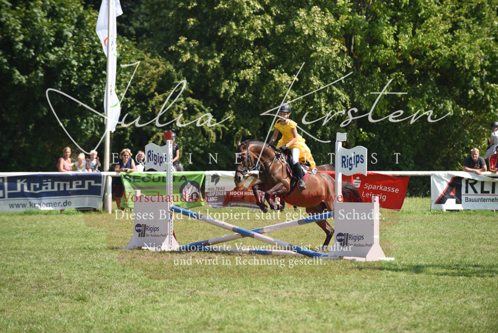 DSC_0165 | Pferde- und Turnierfotografie in Westsachsen. Pferdeportraits, Auftragszeichnungen und intuitive Kunst.