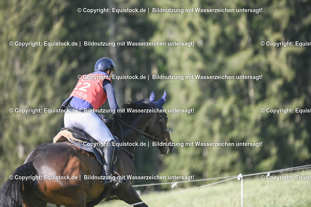 20250517_CCI2_Gelände_0655 | Foto: Thomas Hartig