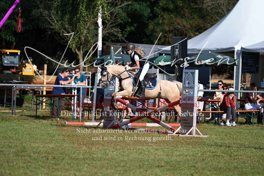 DSC_4915 | Pferde- und Turnierfotografie in Westsachsen. Pferdeportraits, Auftragszeichnungen und intuitive Kunst.