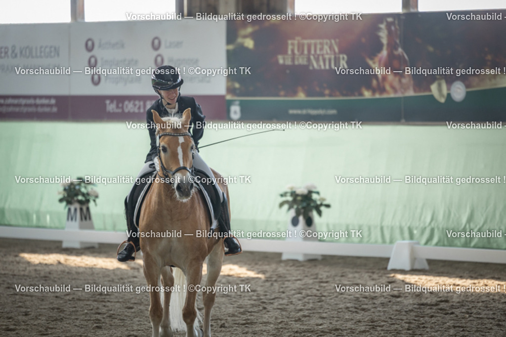 _D5A8338 | Emotionale Pferde- & People-Fotografie rund um Heidelberg, Leimen & Umgebung. Natürliche Fotos von Pferd, Mensch & Familie. Jetzt Termin sichern!