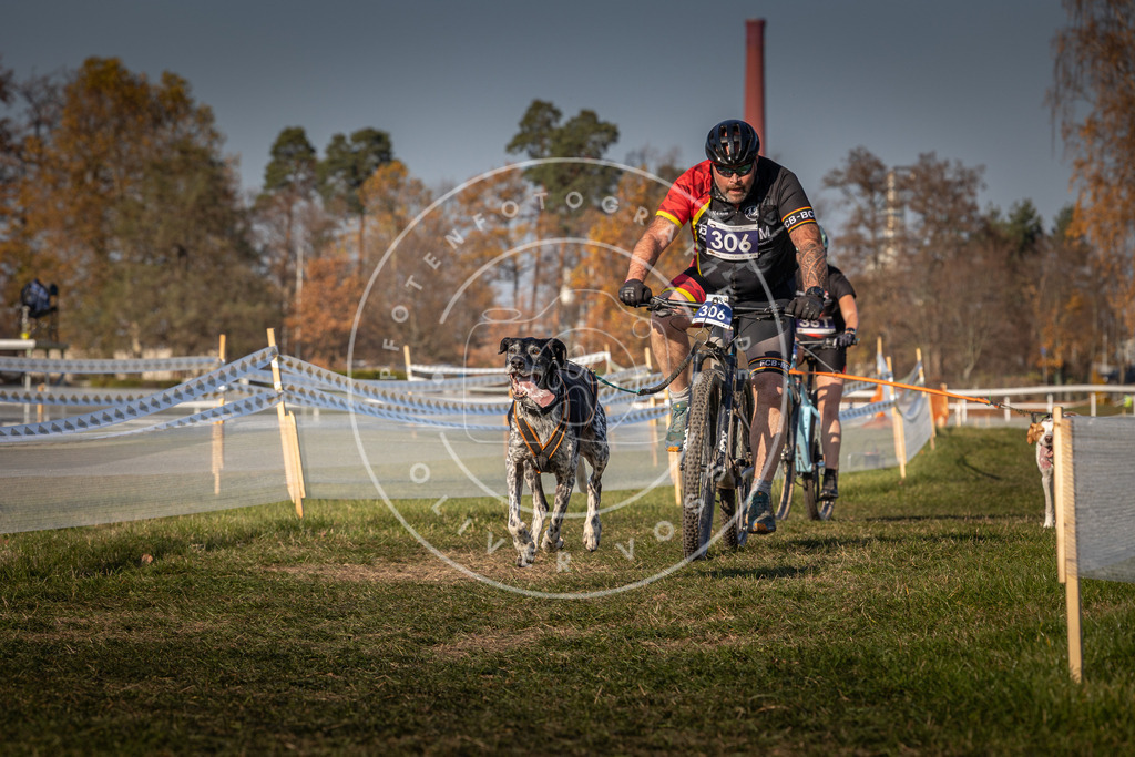 CaniXpix_0L8A8110 | Hundefotografie, Tierfotograf, Pfotenfotografie, Fotoshooting Hund, Hunde Portrait, Hundesport, Hundeportraits, Heideshooting, Hunde, Sportfotograf, Hundefotograf, Turnierhundsport, THS,  - Realisiert mit Pictrs.com