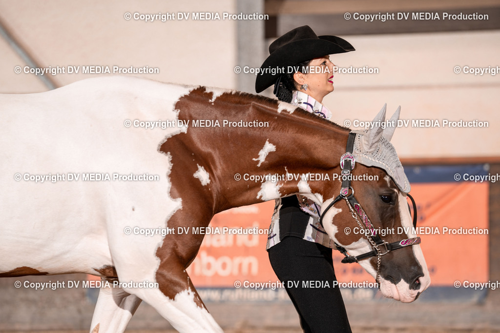 LM Heiligenwald Tag 1-300 | dv-media-shop - Realisiert mit Pictrs.com