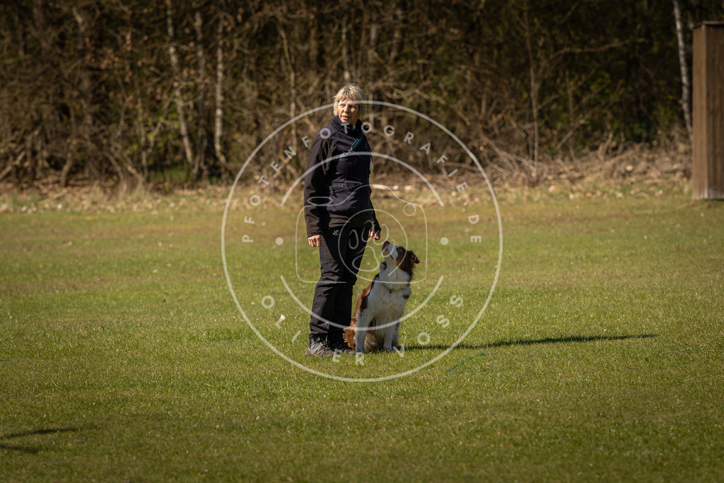 Pfotenfotografie_DV3A0424 | Hundefotografie, Tierfotograf, Pfotenfotografie, Fotoshooting Hund, Hunde Portrait, Hundesport, Hundeportraits, Heideshooting, Hunde, Sportfotograf, Hundefotograf, Turnierhundsport, THS,  - Realisiert mit Pictrs.com