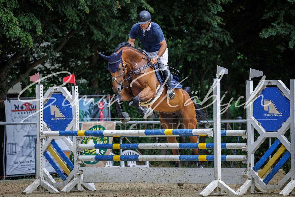 20260705-_3LI6556 | Tierfotografie Pferde, Hunde, Katzen, Haustiere.
Turnierfotografie Reitturniere, Reiten, Springreiten, Dressur in Hanau, dem Main-Kinzig-Kreis und dem Rhein-Main- Gebiet um Frankfurt