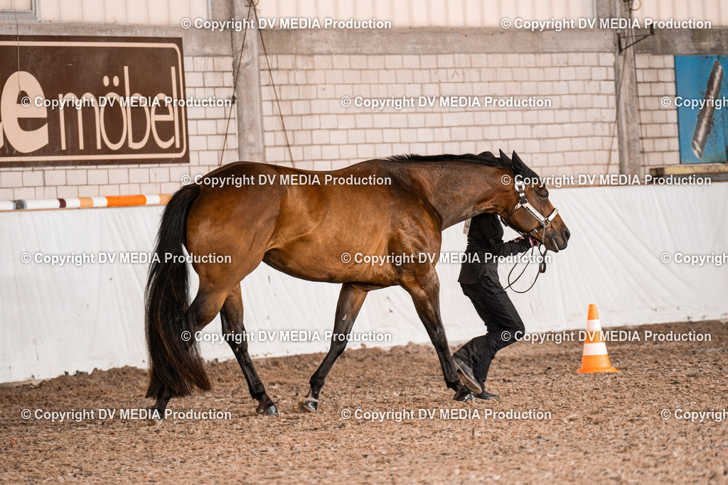 ZH200097 | dv-media-shop - Realisiert mit Pictrs.com