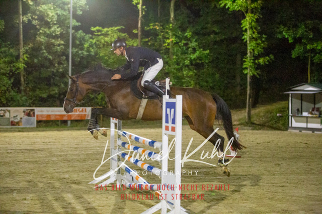 IMG_6320 | Turniersportfotografie; Pferdefotografie; Dressurfotografie