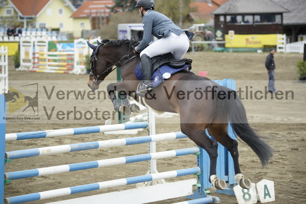 _DSC7366 | equestrian-live-com