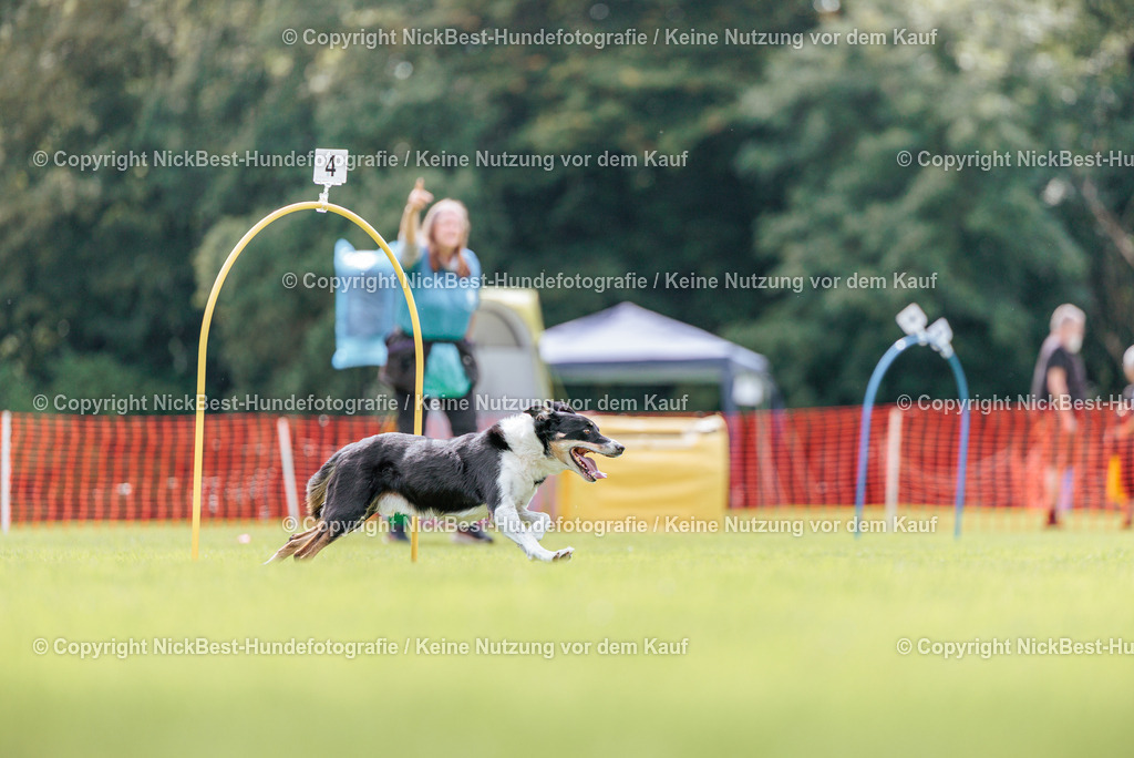 BSP Hoopers-H2-2026-Nickbest-Hundefotografie-TuS Komet Arsten e.V.-6544 | Dein Hund! Dein Moment! Deine Erinnerungen! Hundefotografie in Bremen Blumenthal. Ich fange die besonderen Momente deines Vierbeiners ein – ob Indoor mit Blitzanlage oder in der freien Natur. Sicher dir dein Moment und dein Termin für eure Erinnerungen.