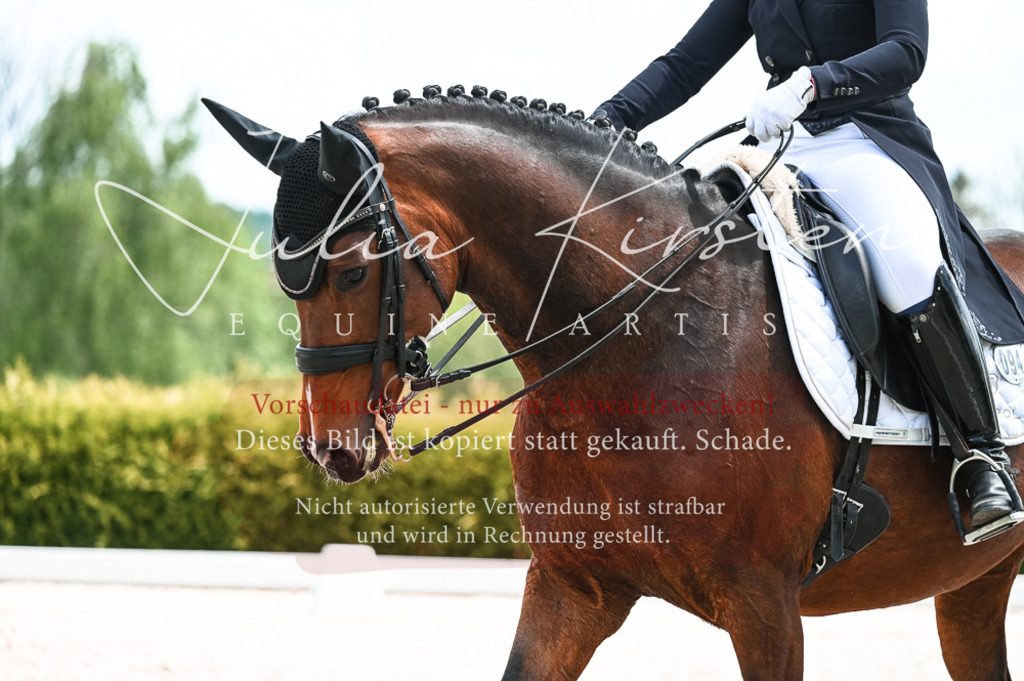 20230514_JK-Röhrsdorf-20-219 | Pferde- und Turnierfotografie in Westsachsen. Pferdeportraits, Auftragszeichnungen und intuitive Kunst.