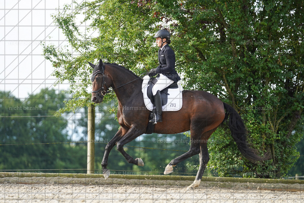 20230826-FAH04502 | Forstinning, 2023, Dressurturnier, Turniersportbilder, Turnierfotografen Bayern, Fotoagentur Herrmann, Reitsportfotografie, Turnierbilder
