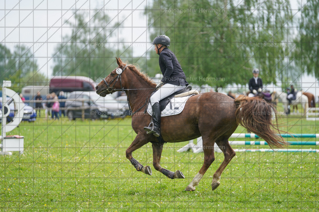20240509-FAH02458 | Turnierbilder der Turnierfotografen Bayern, Pferdesport Fotografie, Reitsportbilder, Turnier Landberg am Lech, Turnierbilder bayern, Fotoagentur Herrmann