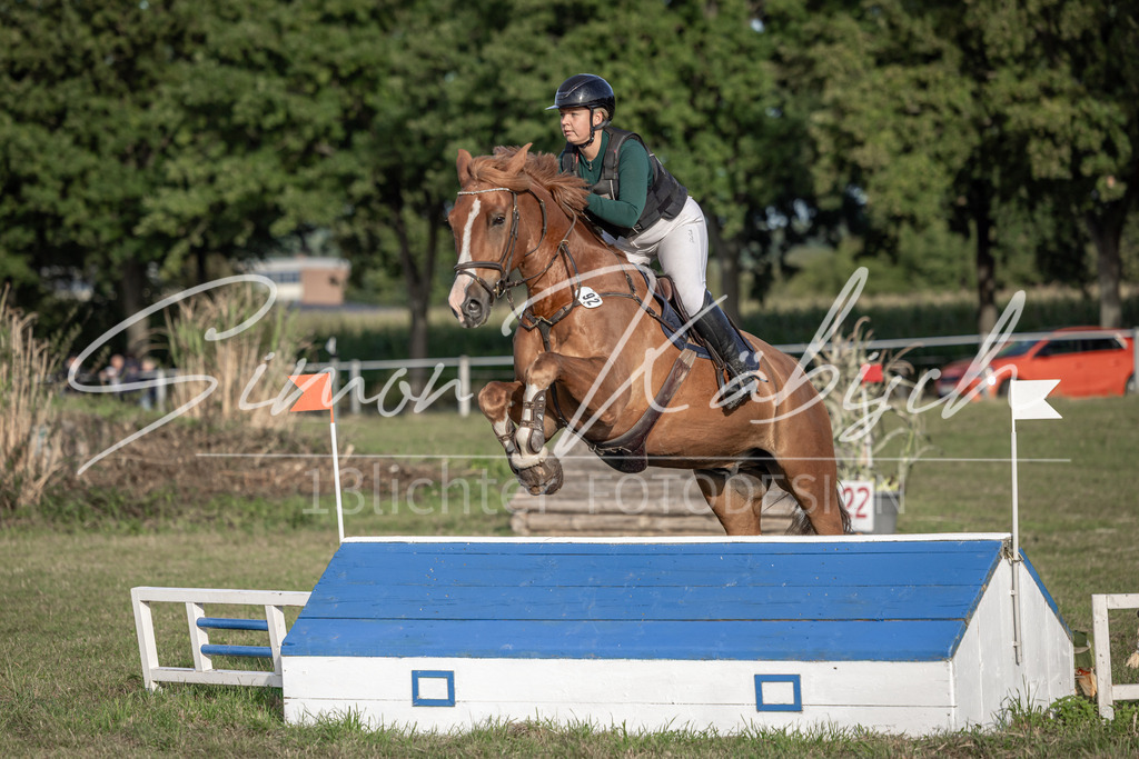 20250907-_3LI8539 | Tierfotografie Pferde, Hunde, Katzen, Haustiere.
Turnierfotografie Reitturniere, Reiten, Springreiten, Dressur in Hanau, dem Main-Kinzig-Kreis und dem Rhein-Main- Gebiet um Frankfurt