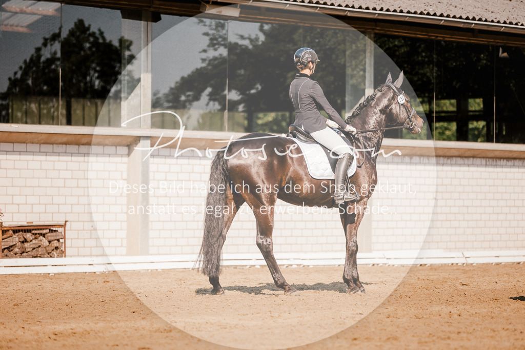 3I6A9071 | Stimmungsvolle Portraits und Reitsportfotografie im Ruhrgebiet und im Münsterland.

Pferdefotografie, Hundefotografie, Tierfotografie, Reportagen, Portraits von Tier und Mensch, Turnierfotografie in Bochum, Recklinghausen, Marl, Haltern am See, Dülmen.. - Realisiert mit Pictrs.com