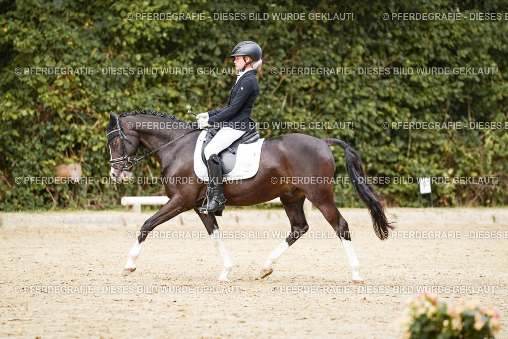 DSC03758 | Pferdegrafie